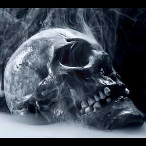 Meet your Posher, Phil